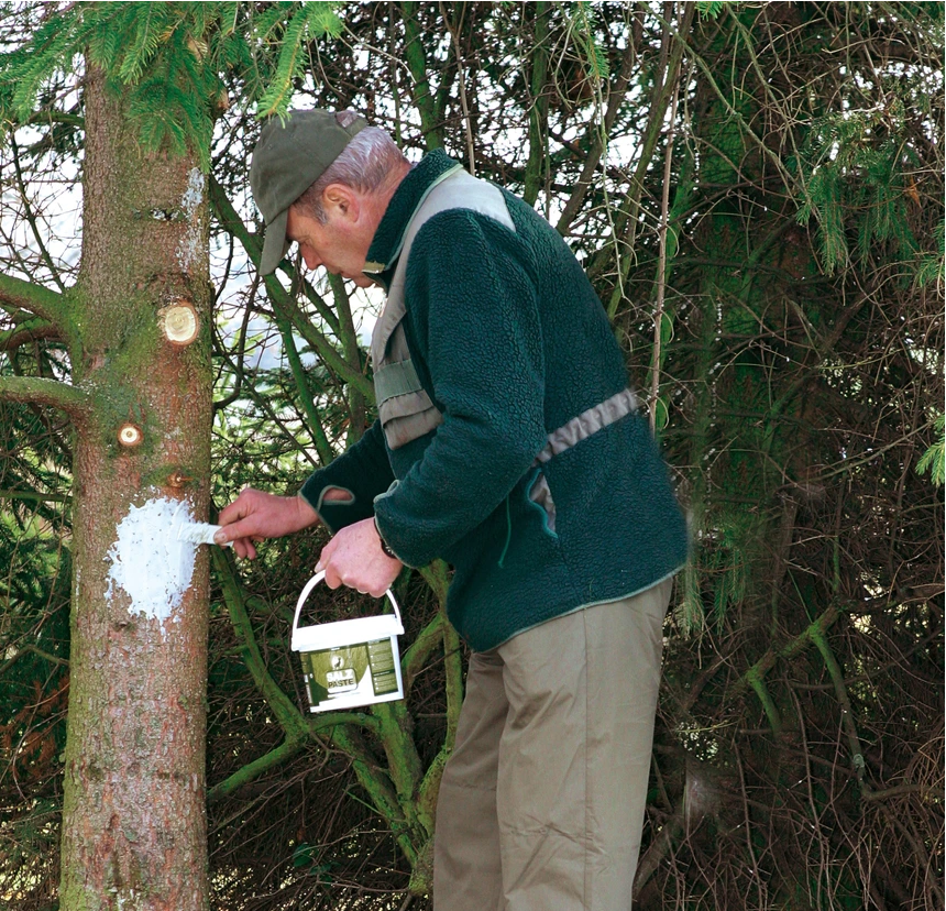Deusa Salzpaste – witterungsintensiv mit Anisaroma, 2 kg