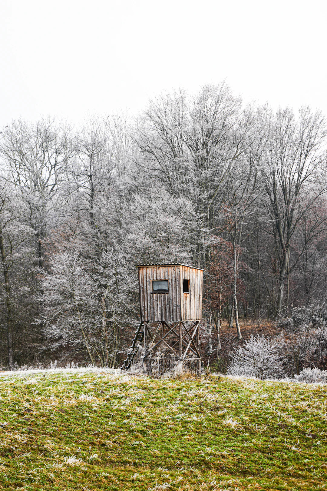 Die Bedeutung von Wettervorhersagen bei der Jagdausrüstung